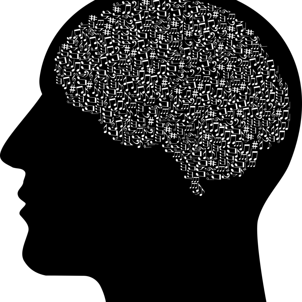 cranium-3244109